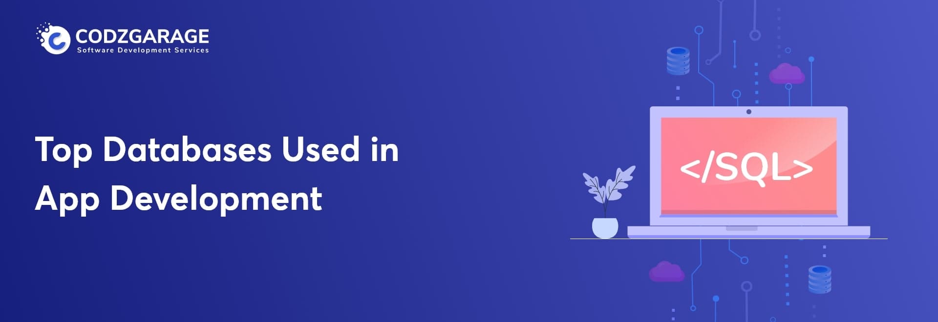 Top Databases Used in App Development and How to Choose Them